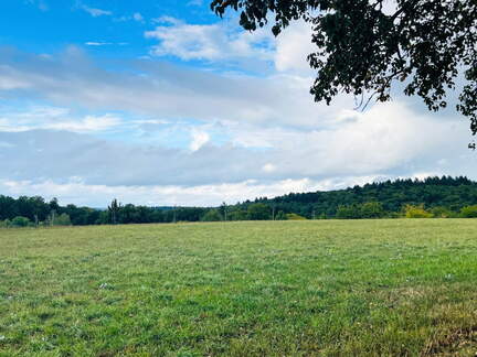 22-09-10 17-59-08 1976